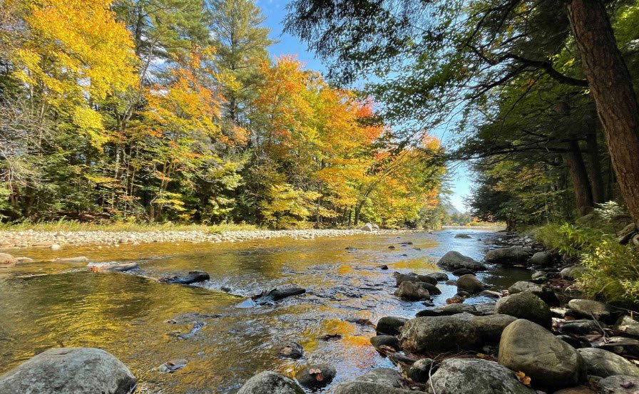 Moose Brook State Park, New Hampshire, USA